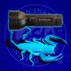 ASI Scorpion Torch, 51 LED