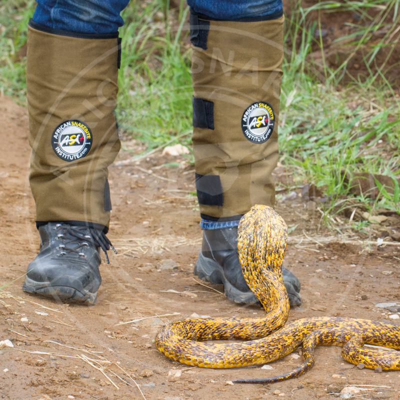 ASI Geo Snake Gaiters LITEReflective African Snakebite Institute