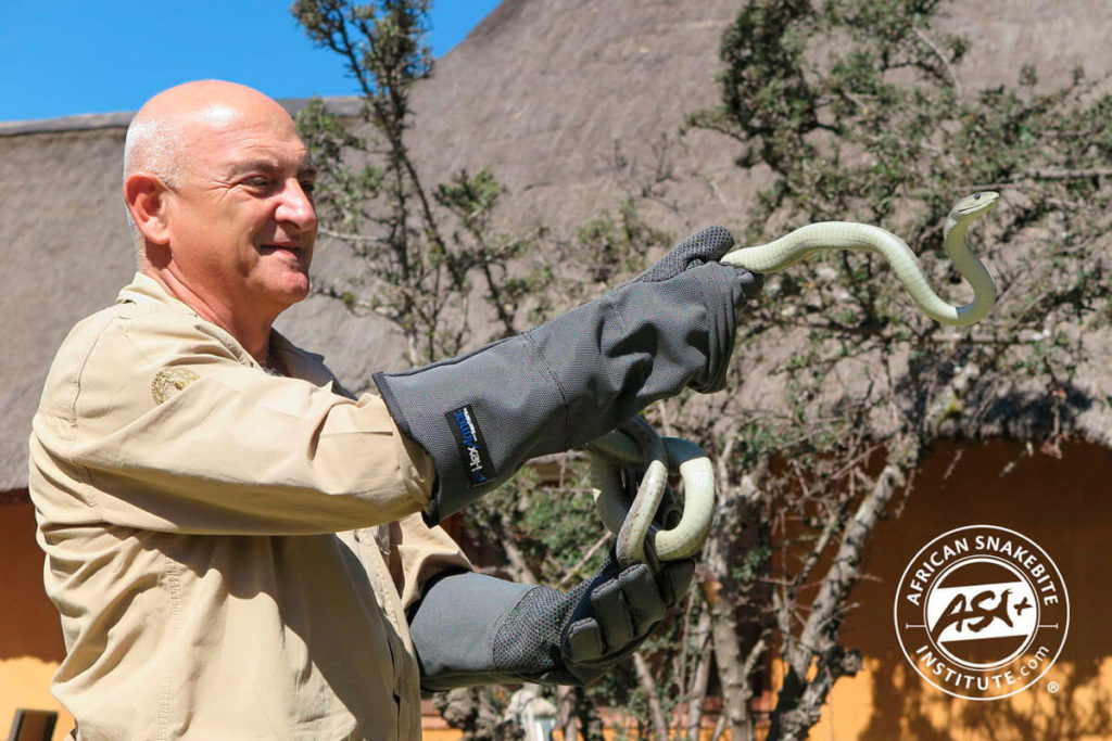 HexArmor Snake Resistant Gloves African Snakebite Institute