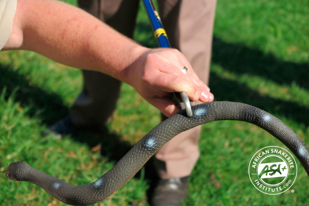 ASI Public Course Info - African Snakebite Institute