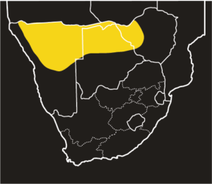 ASI Anchieta’s Cobra Distribution Map