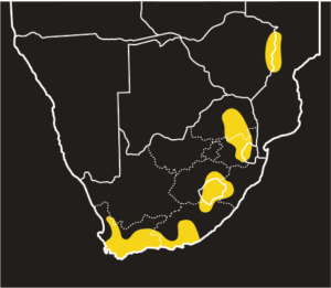 ASI Berg Adder Distribution Map