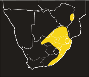ASI Bibron’s Blind Snake Distribution Map