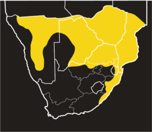 ASI Black Mamba Distribution Map