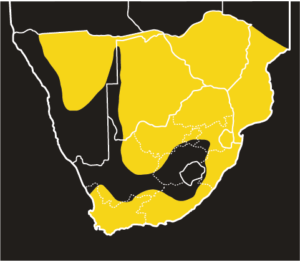 ASI Boomslang Distribution Map