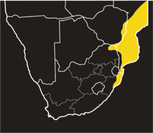 ASI Forest Cobra Distribution Map