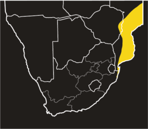 ASI Gaboon Adder Distribution Map