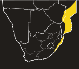 ASI Green Mamba Distribution Map