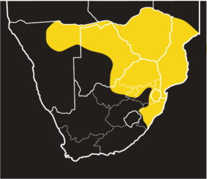 ASI Mozambique Spitting Cobra Distribution Map