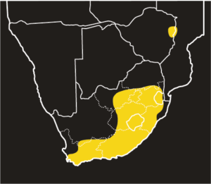 ASI Rinkhals Distribution Map