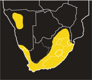 ASI Spotted Skaapsteker Distribution Map