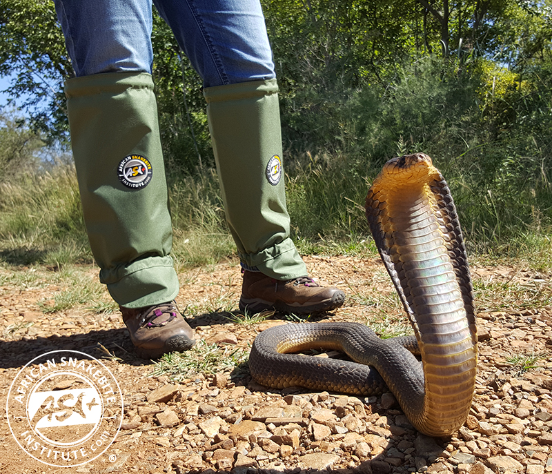 ASI Snake Gaiters LITE (Green) - African Snakebite
