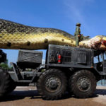 Giant Anaconda