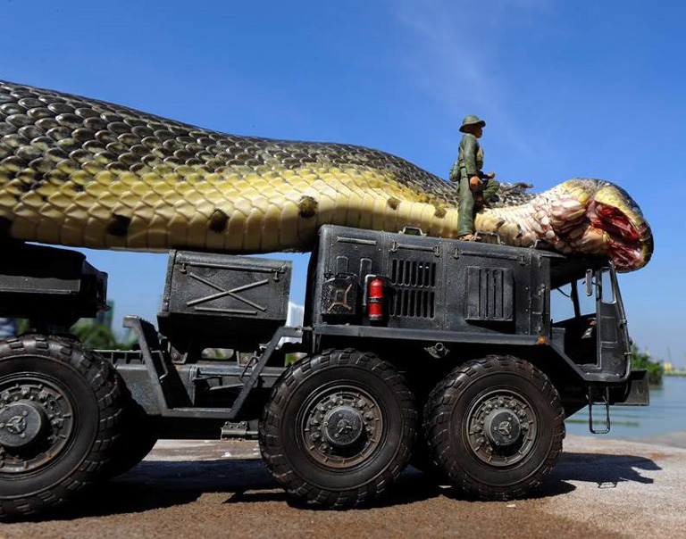 Giant Anaconda African Snakebite Institute
