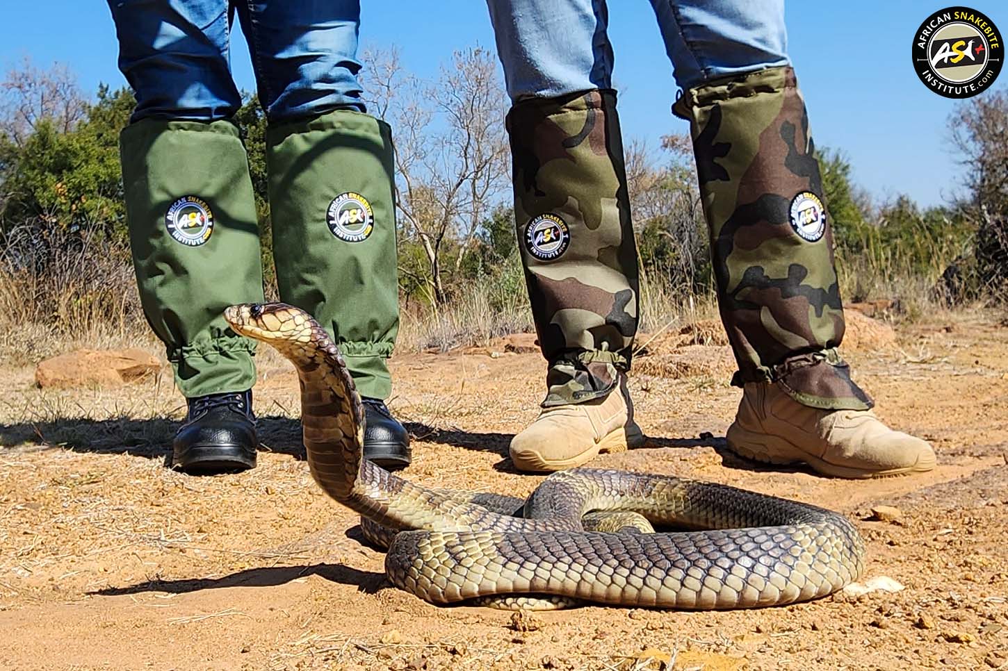 ASI Snake Gaiters LITE (Green) - African Snakebite