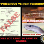 “Poisonous versus Non-poisonous”