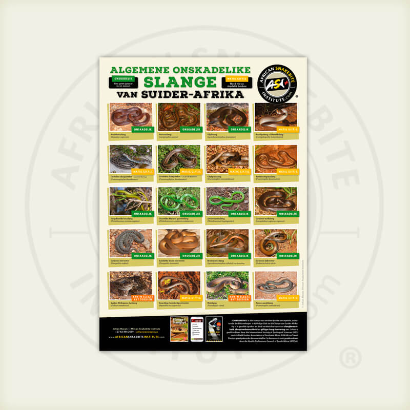 ASI Algemene Onskadelike Slange van Suider-Afrika Plakkaat