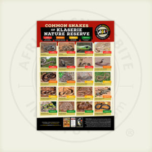 ASI Common Snakes of Klaserie Nature Reserve Poster