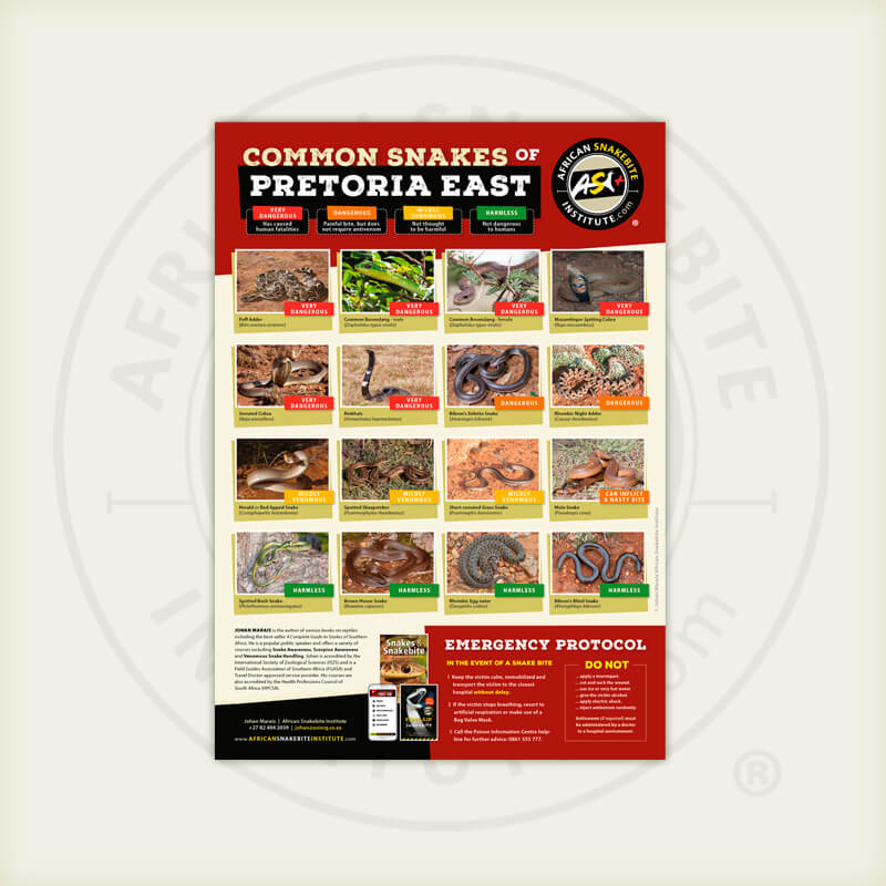 ASI Common Snakes of Pretoria East Poster