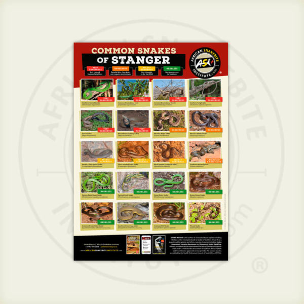 ASI Common Snakes of Stanger Poster