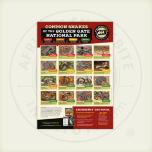 ASI Common Snakes of the Golden Gate National Park Poster