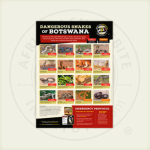 ASI Dangerous Snakes of Botswana Poster