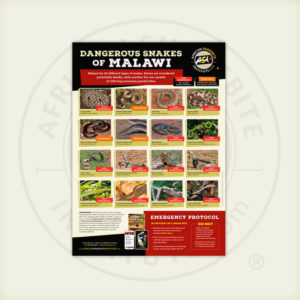 ASI Dangerous Snakes of Malawi Poster
