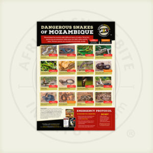 ASI Dangerous Snakes of Mozambique Poster