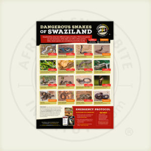 ASI Dangerous Snakes of Swaziland Poster