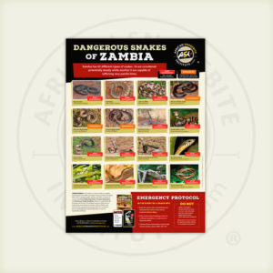 ASI Dangerous Snakes of Zambia Poster