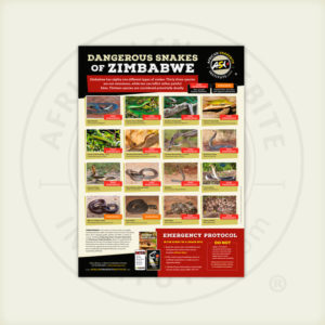 ASI Dangerous Snakes of Zimbabwe Poster