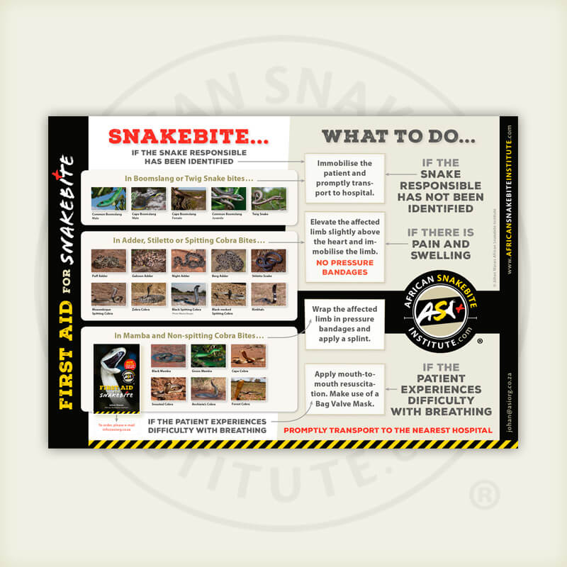 Asi First Aid For Snakebite Poster Printed - 