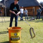 ASI Newsletter – Snake Handling