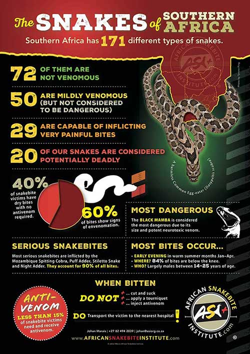 Snakebite Information Posters