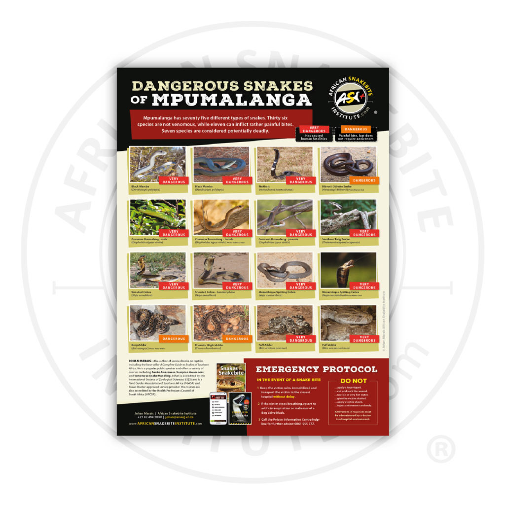 ASI Dangerous Snakes of Mpumalanga Poster (Printed) - African Snakebite ...