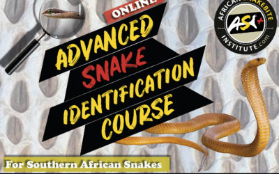 Online Course – Advanced Snake Identification