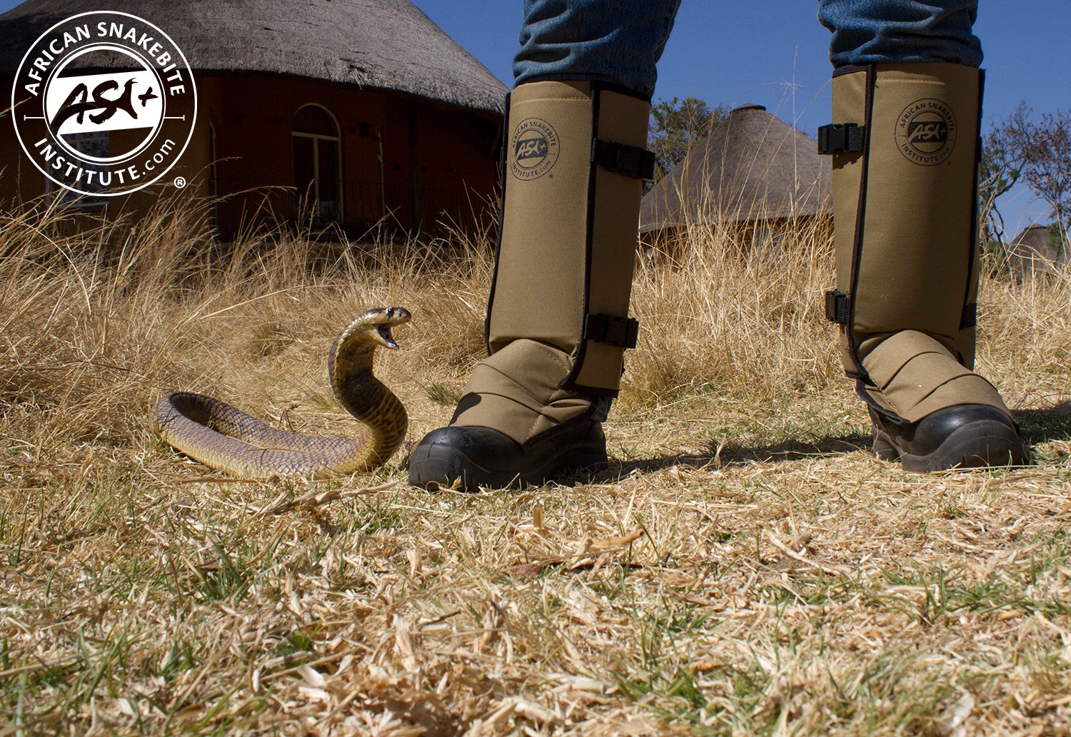 Snake Safety Onsite African Snakebite Institute