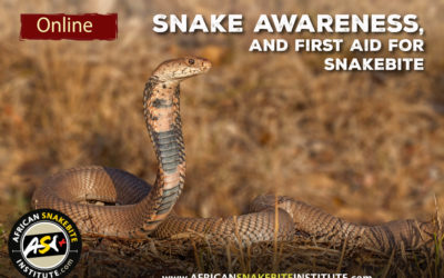 Online Course – Snake Awareness and First Aid for Snakebite