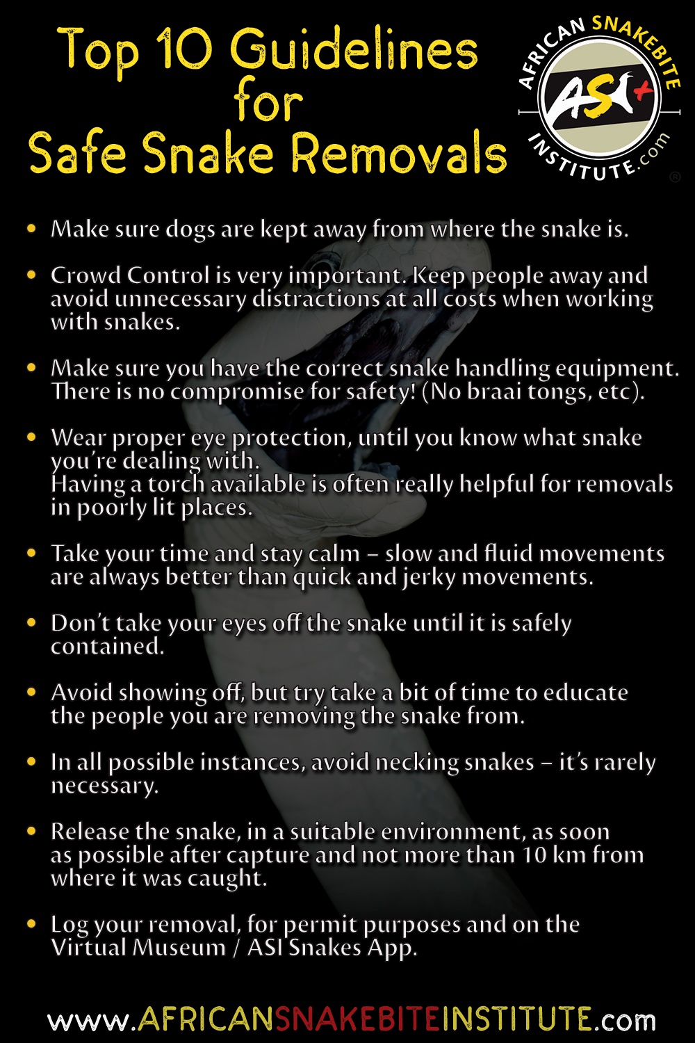 Top 10 Guidelines for Safe Snake Removals African Snakebite Institute