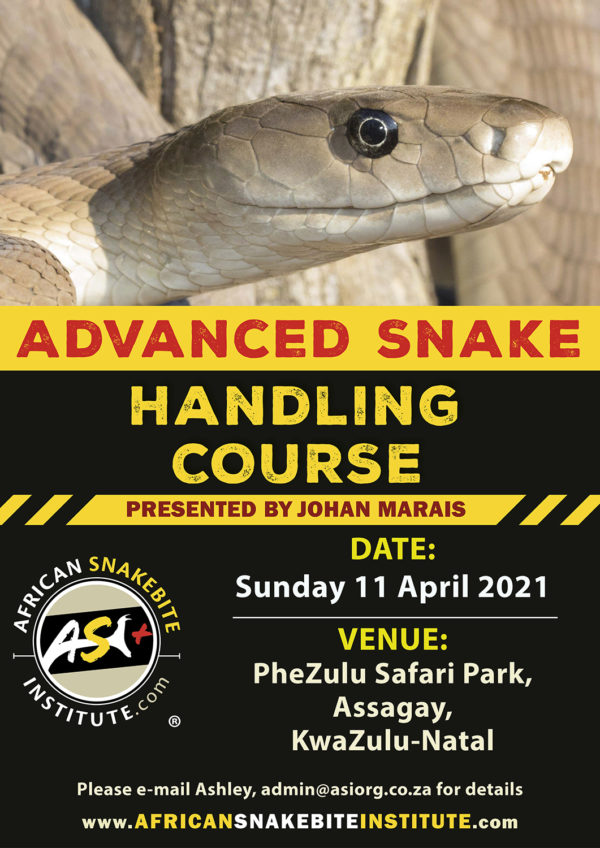 Advanced Snake Handling (KwaZuluNatal) 20210411 African