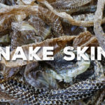Identifying Snake Skins
