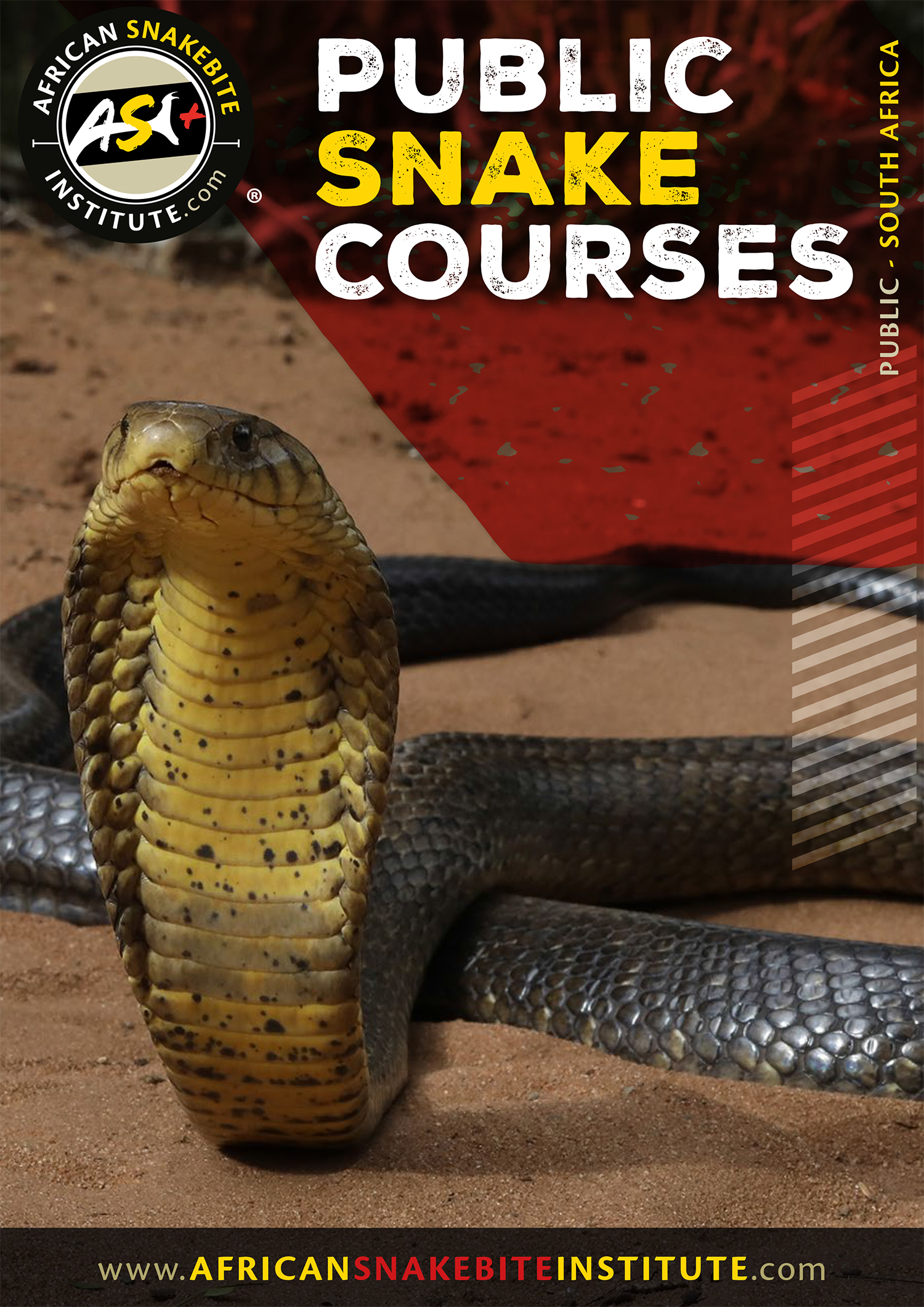 ASI Public Course Info African Snakebite Institute