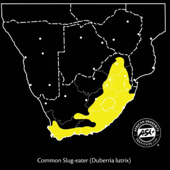 Map Slug Range Common Slug-eater - African Snakebite Institute