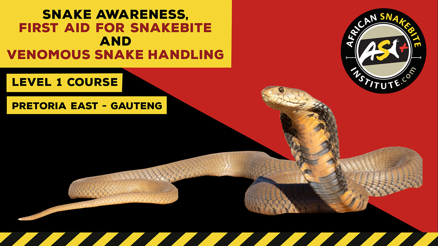 Snake Awareness & Venomous Snake Handling (Pretoria) 20221008
