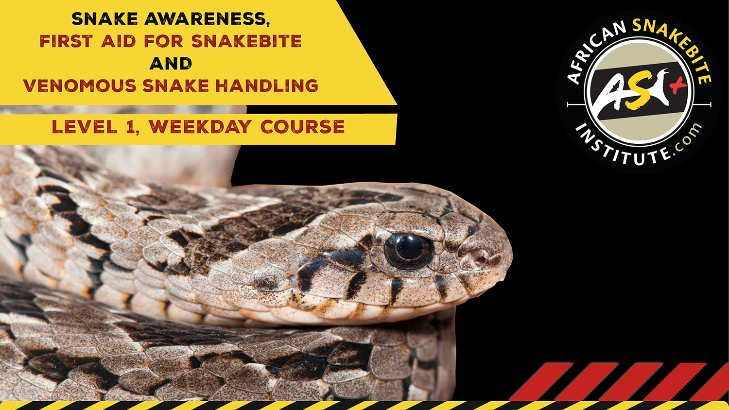Snake Awareness & Venomous Snake Handling (Gauteng) 20221028