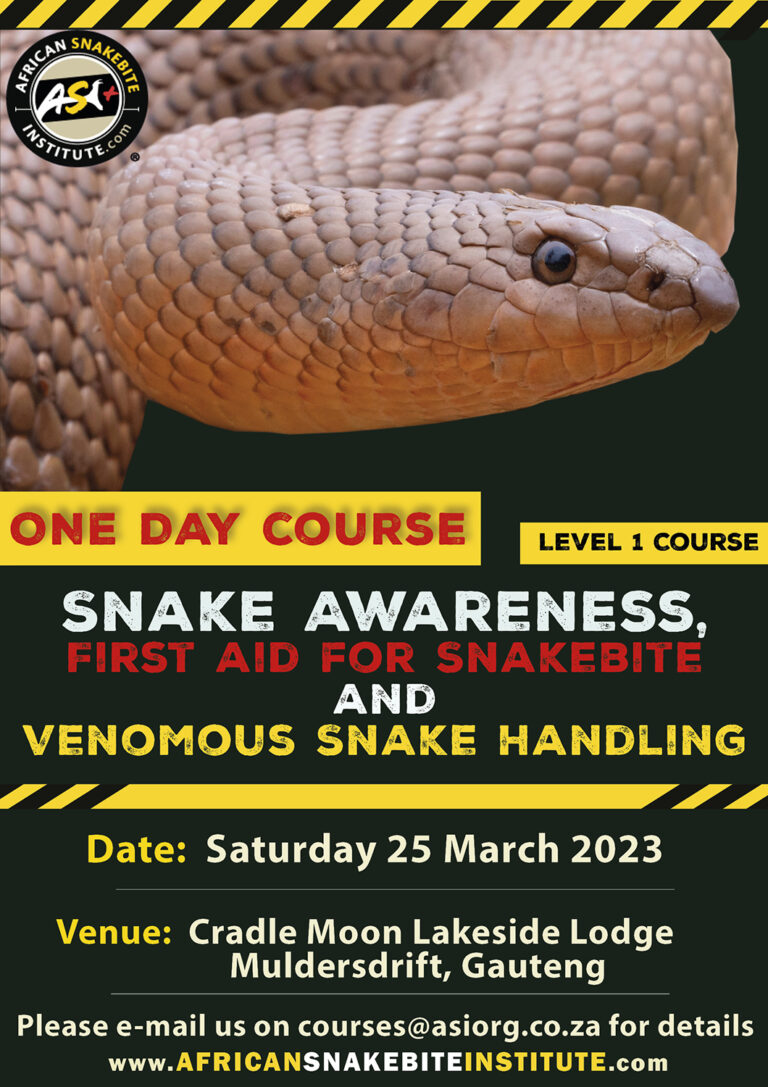 Snake Awareness & Venomous Snake Handling (Gauteng) 20230325