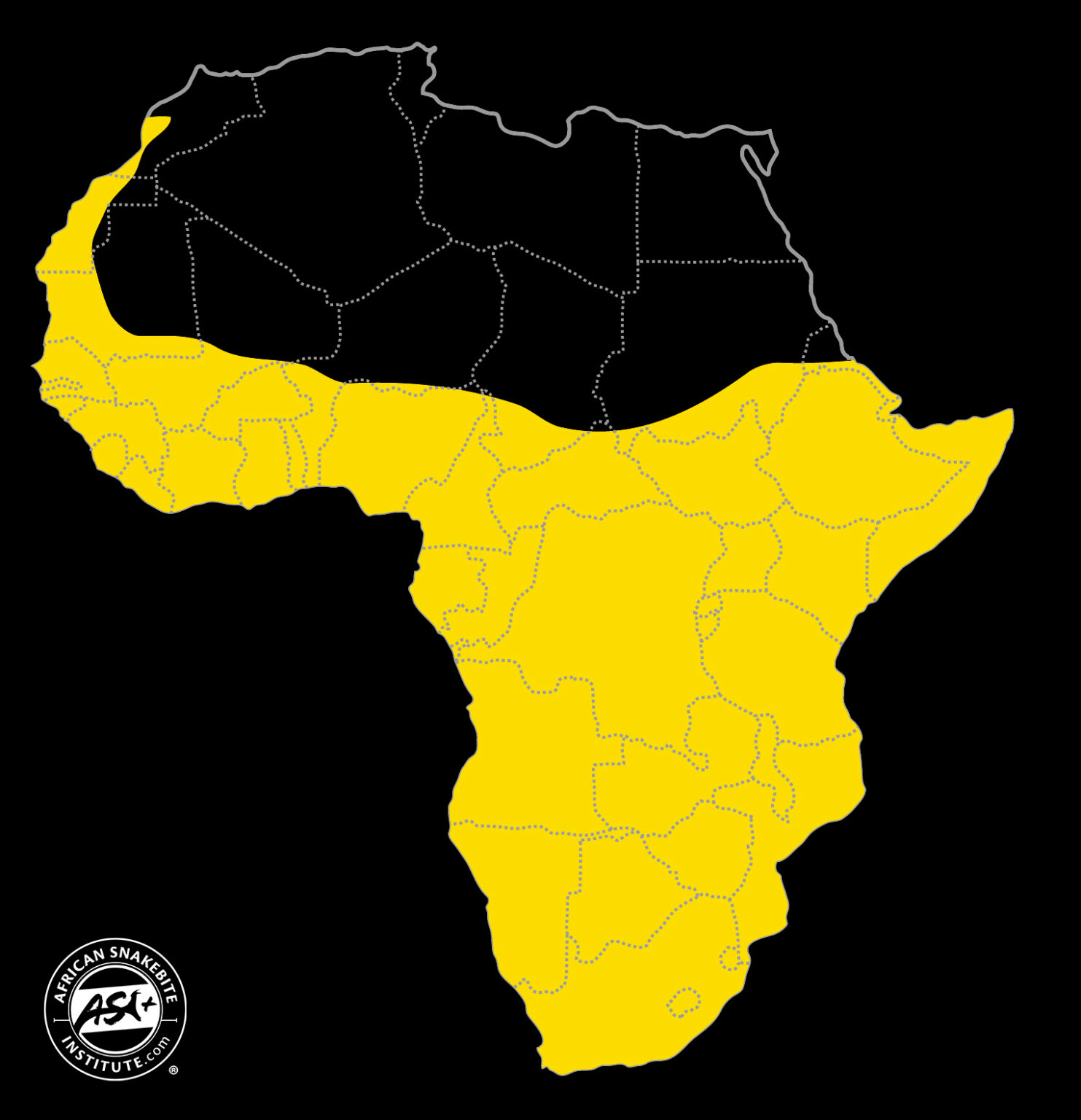 Brown House Snake African Snakebite Institute