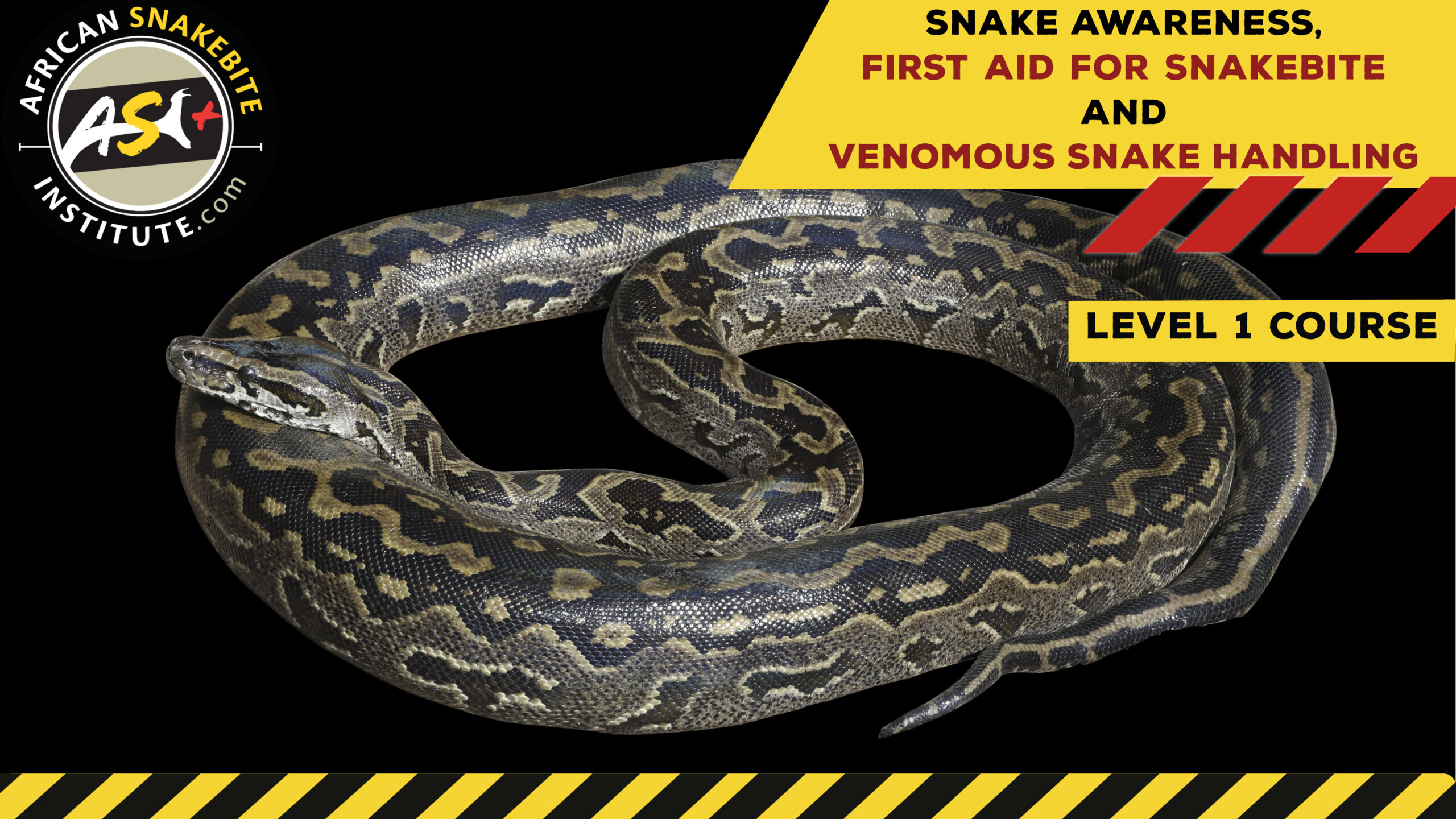 Snake Awareness & Venomous Snake Handling (Gauteng) 20230528