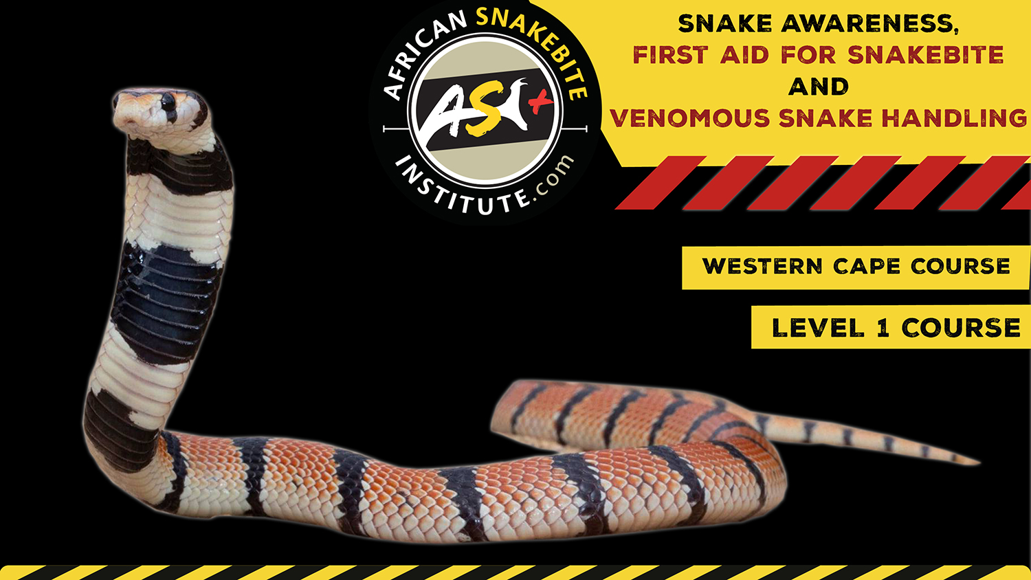 Snake Awareness & Venomous Snake Handling (Western Cape) 20230930