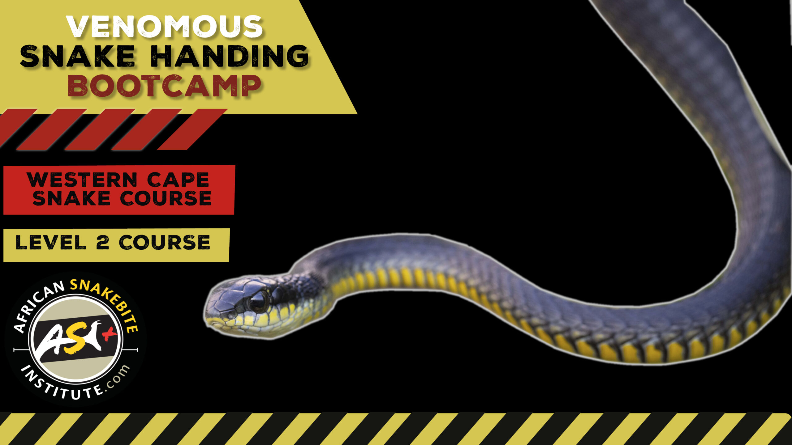 VenomousSnake Handling Bootcamp (Western Cape) 20231022